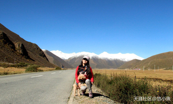 羊年自驾游，陪白发苍苍的父母走进藏川-第2张图片-太平洋在线下载
