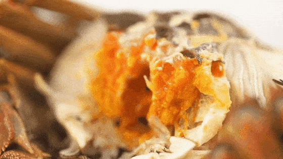菇凉gou苹果版:大闸蟹另外一种独特的做法——蟹黄干丝-第5张图片-太平洋在线下载