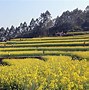 莆田位置攻略苹果版莆田市国庆推出缤纷文旅大餐-第2张图片-太平洋在线下载