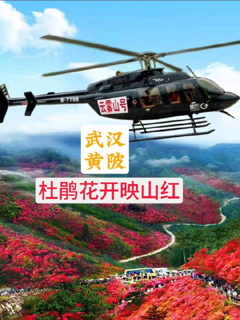 武汉黄陂手机客户端武汉地铁7号线黄陂广场开通时间