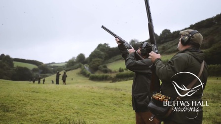 worldatarms安卓版worldofguns破解版含数据包