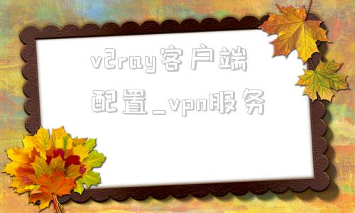 v2ray客户端配置_vpn服务的简单介绍-第1张图片-太平洋在线下载