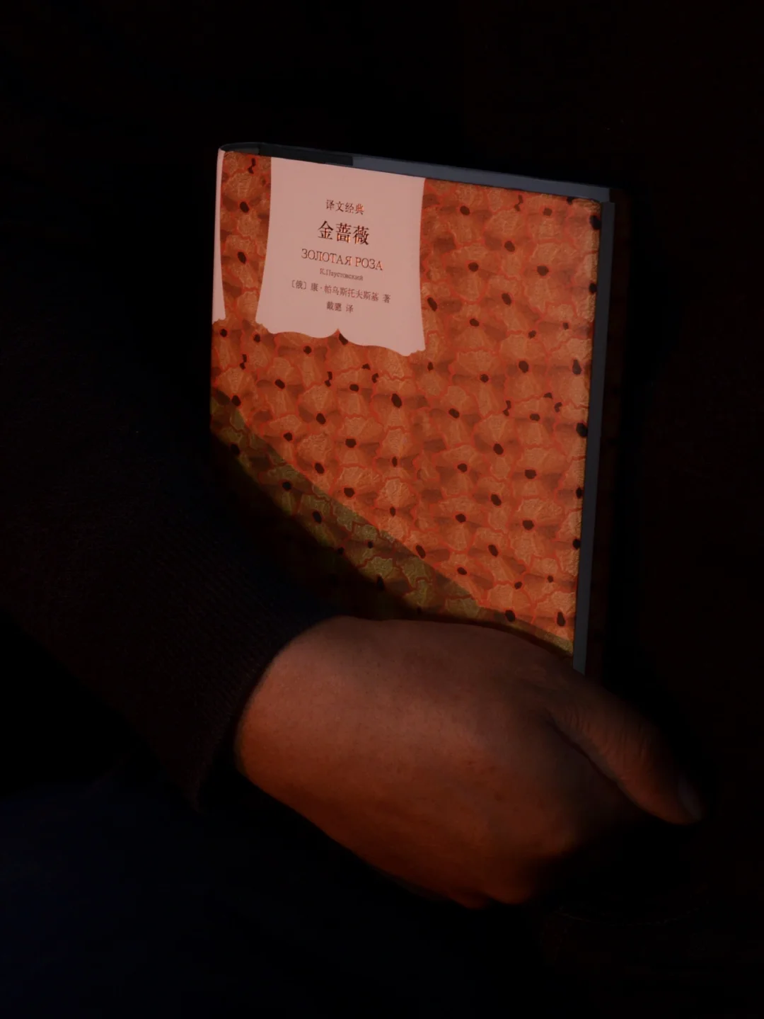 金蔷薇苹果版金蔷薇免费阅读-第2张图片-太平洋在线下载